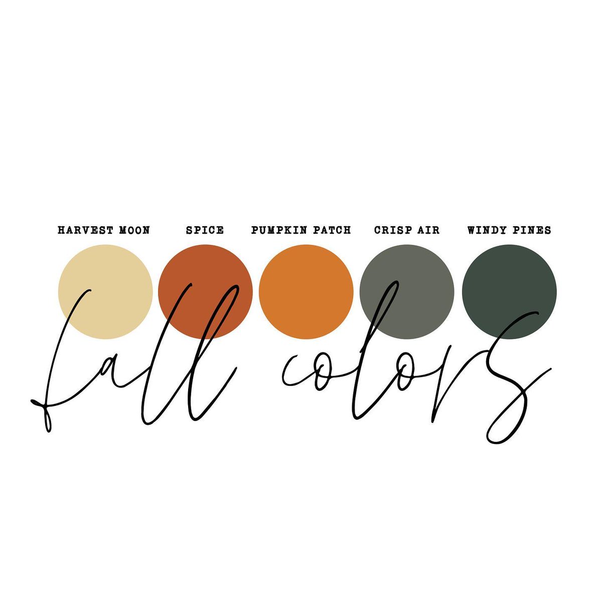 dalexdesigns's tweet image. Fall is in the air and we are LIVING for harvest colors. Who needs fall branding built in this palette?! We are so ready. 
 🍂🍁 🍂🍁🍂🍁
.
.
.
#coloradogrpahicdesigners #fallcolorpalette #mutedautumn #fallmoodboard #falllogo #autumnbrandstyle #affordablebrandingsolution #sma...
