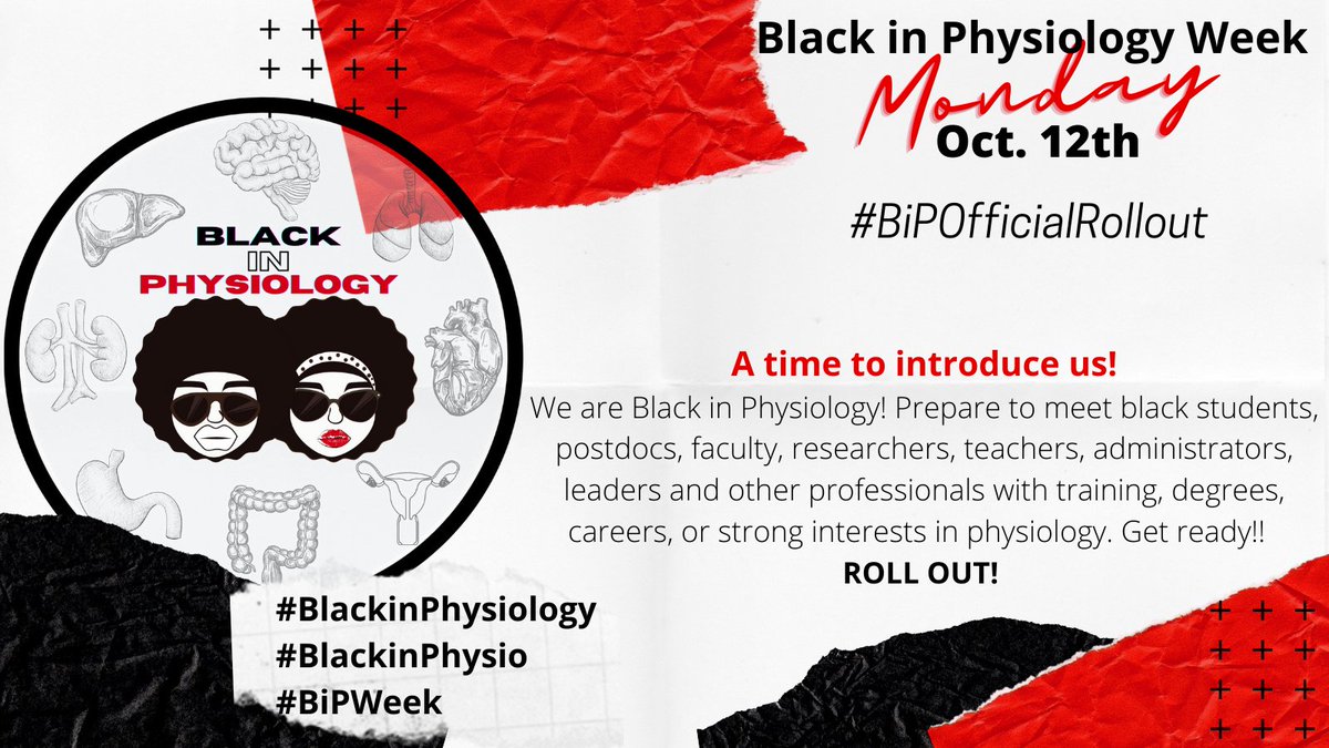 Oct. 12 | Introducing our BiPsIntroduce yourself #BiPOfficialRollout #BlackinPhysiology #BlackinPhysio #BiPWeek