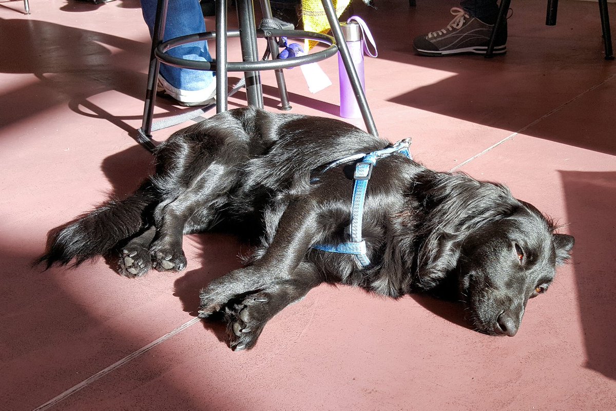 futuricon's tweet photo. Did someone say Dead Dog Party?
#convention

P.S. No dogs were actually harmed.
https://t.co/PLq5gyXC0r https://t.co/3qx4PR95IB