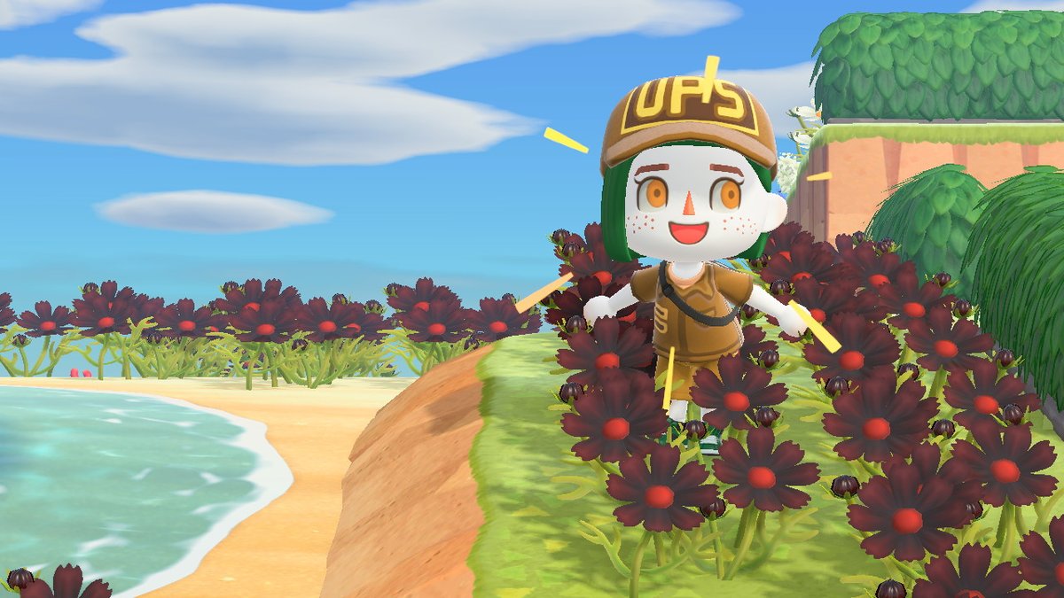 acnhsupplier's tweet photo. #AnimalCrossing #ACNH #NintendoSwitch https://t.co/DnzVjgPPV6
