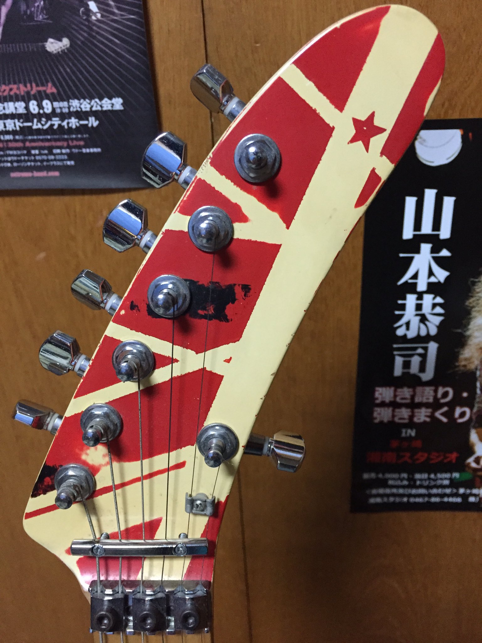 4枚セット!エドワード・ヴァン・ヘイレン/ギターピックフレーム証明書