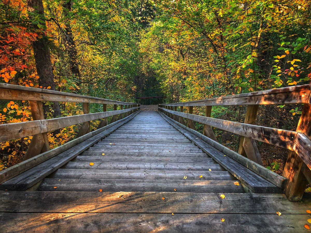 <a href="/Drdougklein/">Doug Klein</a> <a href="/CampChange/">ChangeAdventureCamp</a> <a href="/GlobalEdmonton/">Global Edmonton</a> @GlobalEdm_plus <a href="/lisamacgregor/">Lisa MacGregor</a> @KentMGlobal <a href="/ctvedmonton/">CTV Edmonton</a> <a href="/SuLingGoh/">Su-Ling Goh</a> <a href="/CBCEdmonton/">CBC Edmonton</a> <a href="/OTFedmonton/">Orangetheory Fitness</a> Beautiful day for a walk for <a href="/CampChange/">ChangeAdventureCamp</a> #YEG