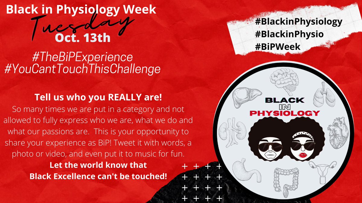 Oct. 13 | The BiP ExperienceShare your story via text, picture or video #TheBiPExperience #YouCantTouchThisChallenge #BlackinPhysiology #BlackinPhysio #BiPWeek