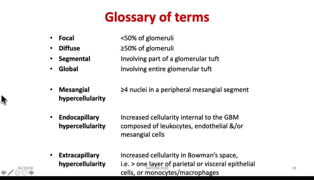 Dr. Supriya Tiwari (@drsupriyatiwari) on Twitter photo Particularly for residents out there, the glossary of terms in #Nephropathology session by Dr. Ritambhara Nada at #KAPCON2020
<a href="/NippoPaul/">Nithin Paul NipPO</a>
<a href="/AchLekha/">Srilekha</a>
<a href="/DrNithyashree/">Dr NithYASHree</a>
<a href="/RPoral/">Rashmi Poral MD, DNB</a>
@ThePathoGuy Particularly for residents out there, the glossary of terms in #Nephropathology session by Dr. Ritambhara Nada at #KAPCON2020
<a href="/NippoPaul/">Nithin Paul NipPO</a>
<a href="/AchLekha/">Srilekha</a>
<a href="/DrNithyashree/">Dr NithYASHree</a>
<a href="/RPoral/">Rashmi Poral MD, DNB</a>
@ThePathoGuy