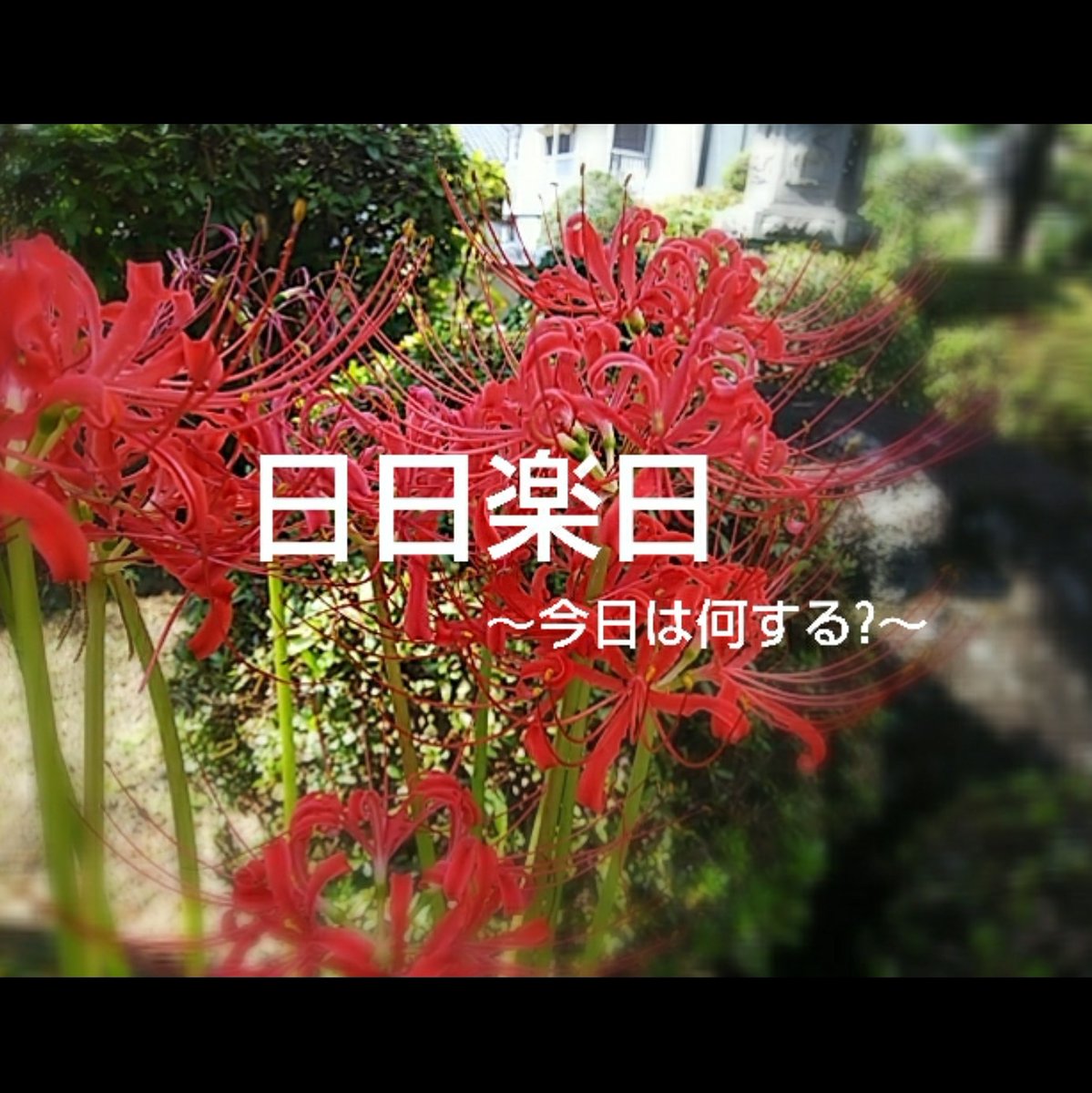 スズヒロfuwari T Co B1ikfbilmz よろしくお願いします シンプルな暮らし 捨て活 断捨離 一日1個 ミニマムな暮らし ミニマリストに憧れる 主婦 アラフィフ 日日楽日 スズヒロfuwari T Co B1ikfbilmz よろしくお願いします シンプルな暮らし 捨て活 断捨離 一日1個 ミニマムな暮らし ミニマリストに憧れる 主婦 アラフィフ 日日楽日