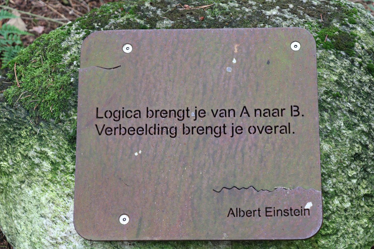 ChristaKlaassen's tweet photo. Dit keer niet op een tegeltje aan de muur, maar op een kei in het bos.
#deEese https://t.co/1PhHqf5ET6