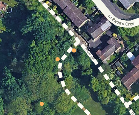 Roger_TL45Y's tweet photo. Normally hidden under taller #trees #Autumn colours reveal the three Broad-leaved Cockspur Thorns, Crataegus persimilis, in NW corner of Cherry Hinton Hall Park. All now in @CamCanopyProj @Curioxyz #CambridgeTreeMap! https://t.co/IrR2VR98LO
