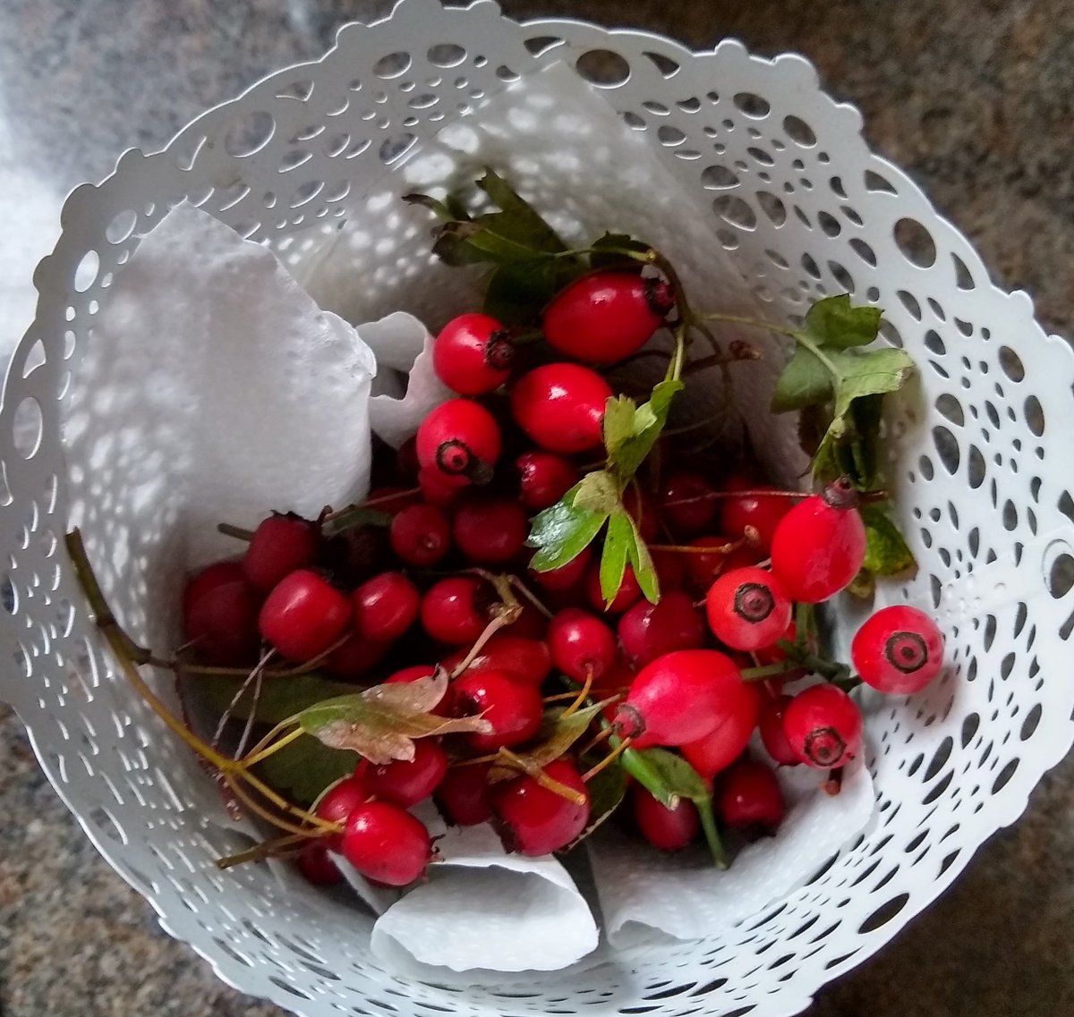 Flower_Girl's tweet image. #makingwinter
Need to buy a few more ingredients before I can make bird feeders. Gathered rosehips &amp;amp; hawthorn a good start. @silverpebble @JoannaCannon