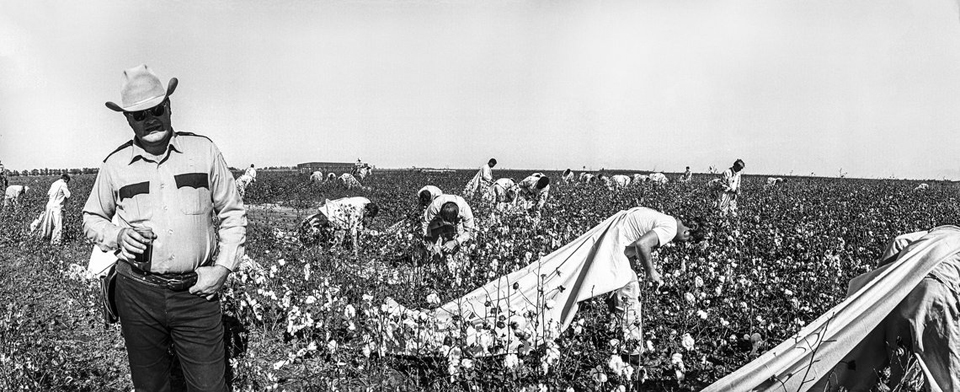 This Day in Labor History: October 4, 1978. Nine Ellis Prison inmates in east Texas went on strike against the unpaid labor they had to do every day, refusing to pick cotton in hard labor. Let's talk about the endless struggle against prison slavery in this country!
