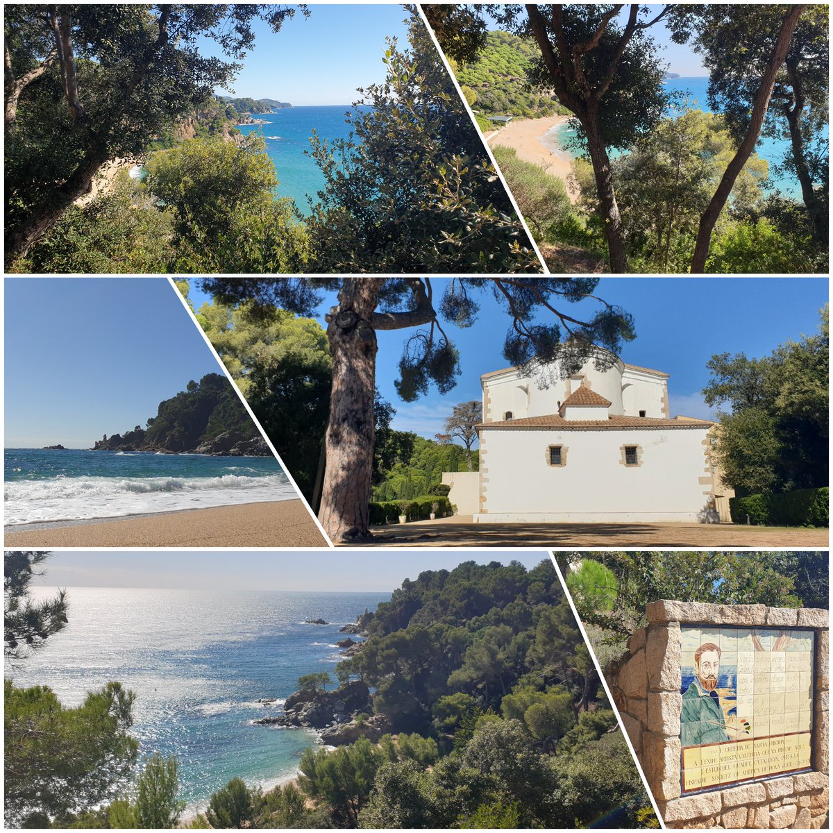 annaaulet's tweet photo. #joaquinsorolla: "Santa Cristina es una maravilla. Grandes pinos sobre el monte, con escollos claros de color, sobre una mar maravillosa, de azul y verde. Algo griego y estupendo".
#SantaCristina #Treumal #sagüia #soudelloretqueusadoraprorectora #mylloret #raconsdegirona https://t.co/LdbmqWIIYP