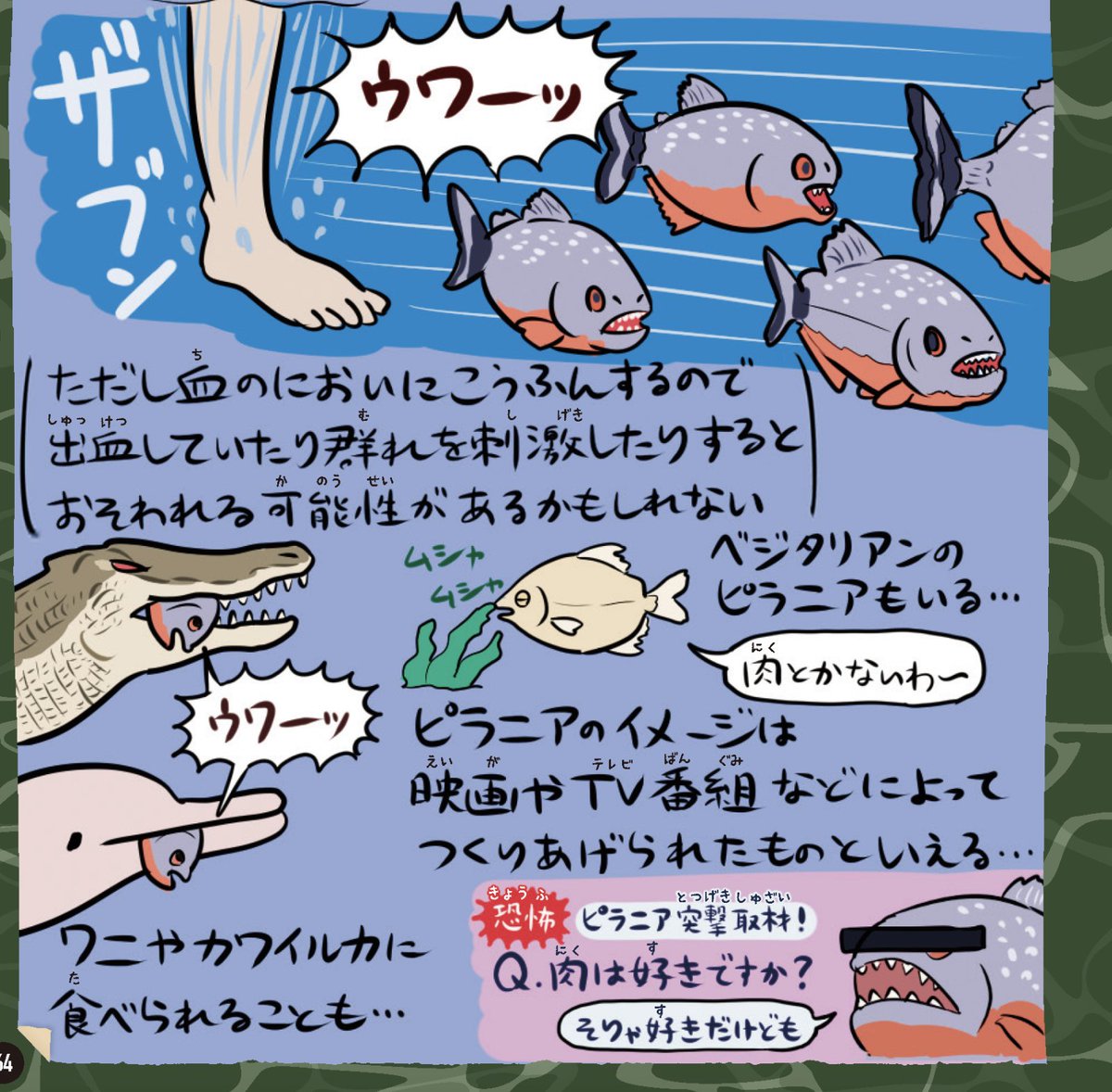ট ইট র にいな涼 新和涼 今日のダーウィンが来た がピラニア回だけども ぬまがささんの ゆかいないきもの図鑑 読んでたので ピラニア は臆病って知ってた 進研ゼミでやったところだ ってなってる