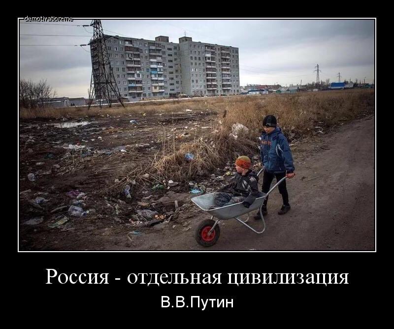 Alex99347486 tweet picture