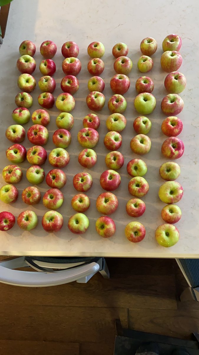 Honey crisp apples washed and ready for World Teachers Day.  Picked with care from Springridge Farm. Excited to meet my new everyday Heroes!!!