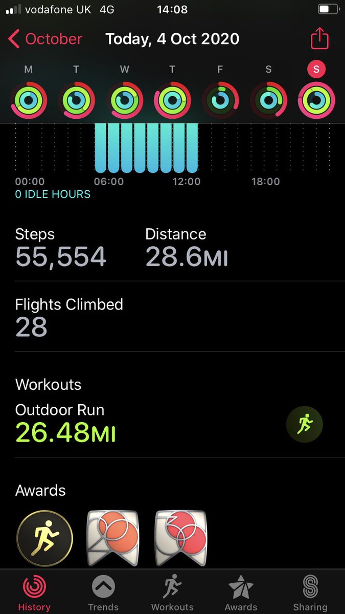 ShellsBelles tweet media