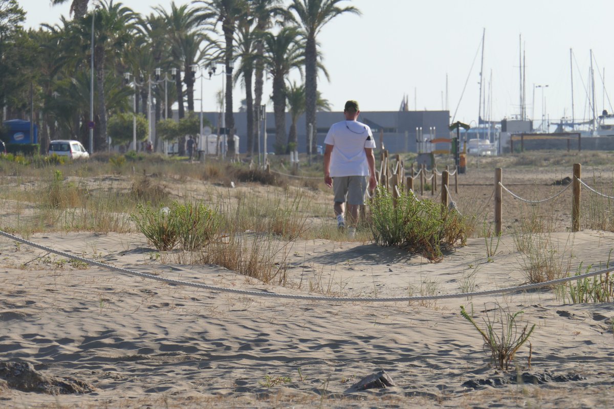  Some people prefer to walk inside of fenced enclosures, causing disturbance to birds that are incubating or caring for their chicks.