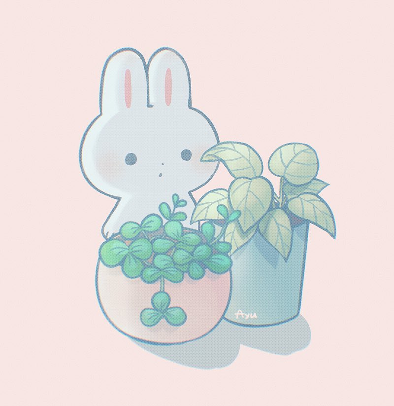 no humans plant rabbit simple background potted plant blush pink background  illustration images
