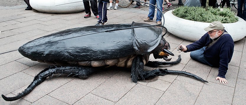 bigbugsact's tweet image. Would you dare to do this?
#WorldAnimalDay #dierendag #bigbugs #bigbugsshow