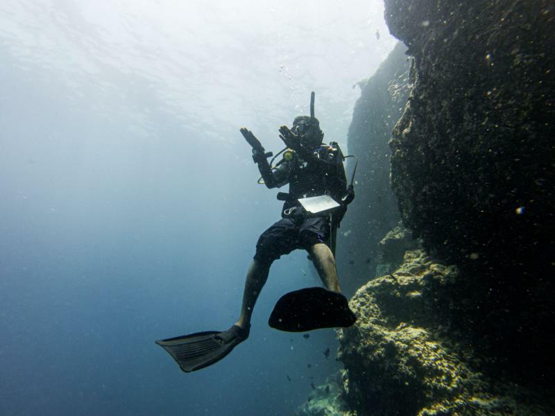 DiveDesk's tweet image. Amazing instructors who will make sure you learn and enjoy your dive. 

📸 Shakir teaching @PADI Advanced Open Water Diver course; photo taken by his student Mushan 💙

#scubadiving #padicourse #underwaterphotography #padipros #scubatraining #safetyalways #malecity #maldives