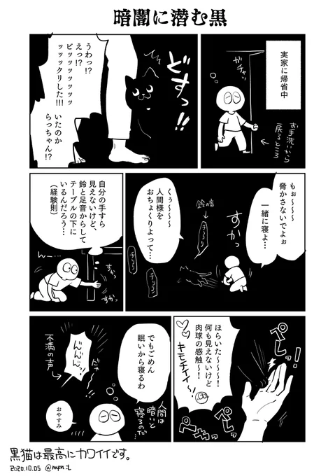 黒猫がアサシンじゃなくて本当に良かった。マジで何も見えない。 