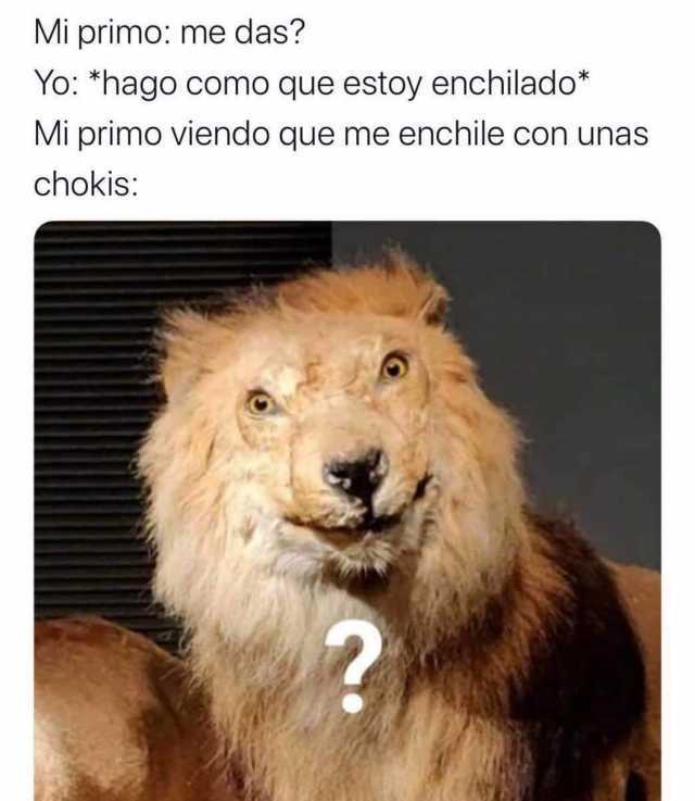Dopl3r On Twitter Mi Primo Me Das Yo hago Como Que Estoy Enchilado dopl3r-on-twitter-mi-primo-me-das-yo-hago-como-que-estoy-enchilado