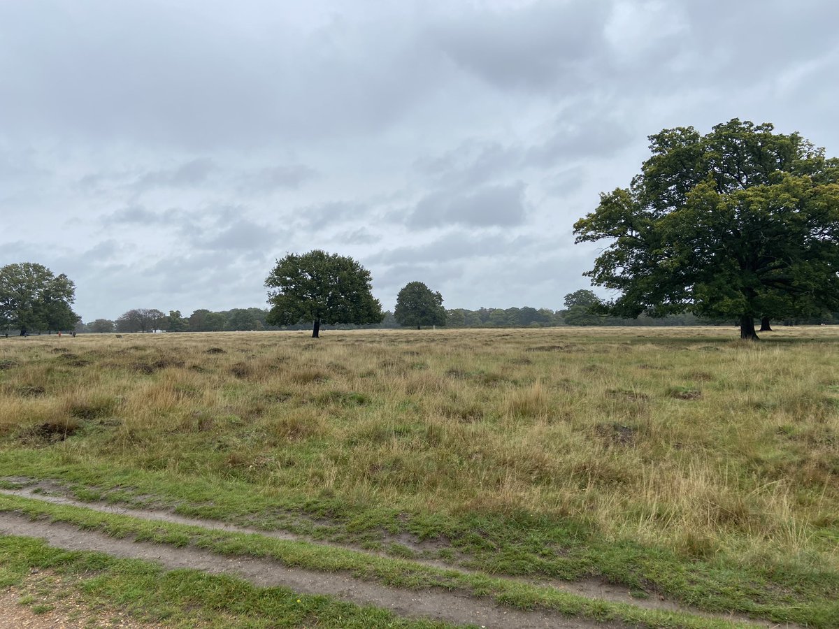Chasing 29degrees <a href="/KathEvans2/">🌟 Kath Evans RGN RSCN 💙💛</a> <a href="/louisechicks1/">Professor Louise Hicks</a> whilst cheering on Marathon Runners (you re all just amazing!) #Londonmarathon2020 
19,571 steps #BHWalktheWorld oh and a very nice coffee! #TeamBartsHealth #BushyPark