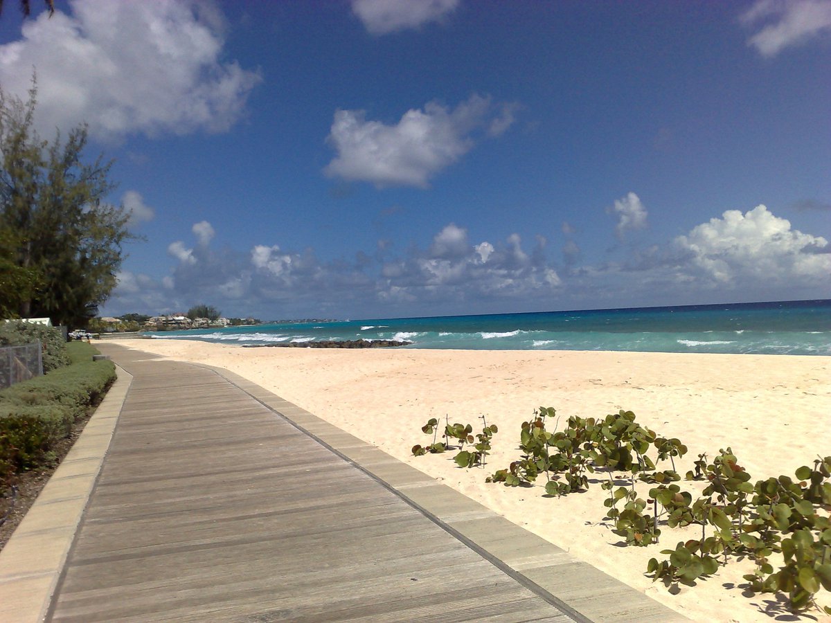 #loveBarbados