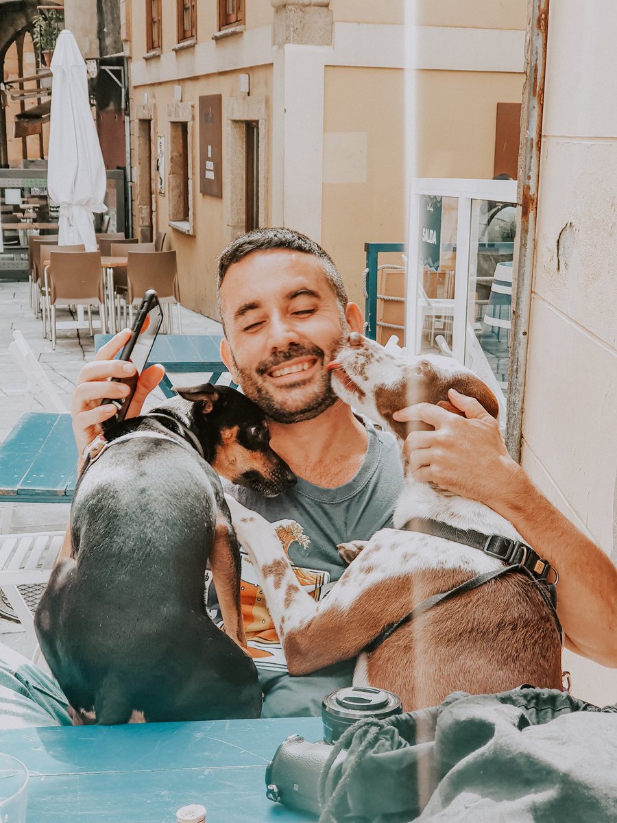 lvdclaudia's tweet image. Qué mejor forma de celebrar el #DiaMundialDeLosAnimales que con este robado de Jose, Tuno y Bora durante nuestro blog trip perruno de esta semana en Gijón, el #GuauXixon 🐾 ¿No son todo amor? 🧡
