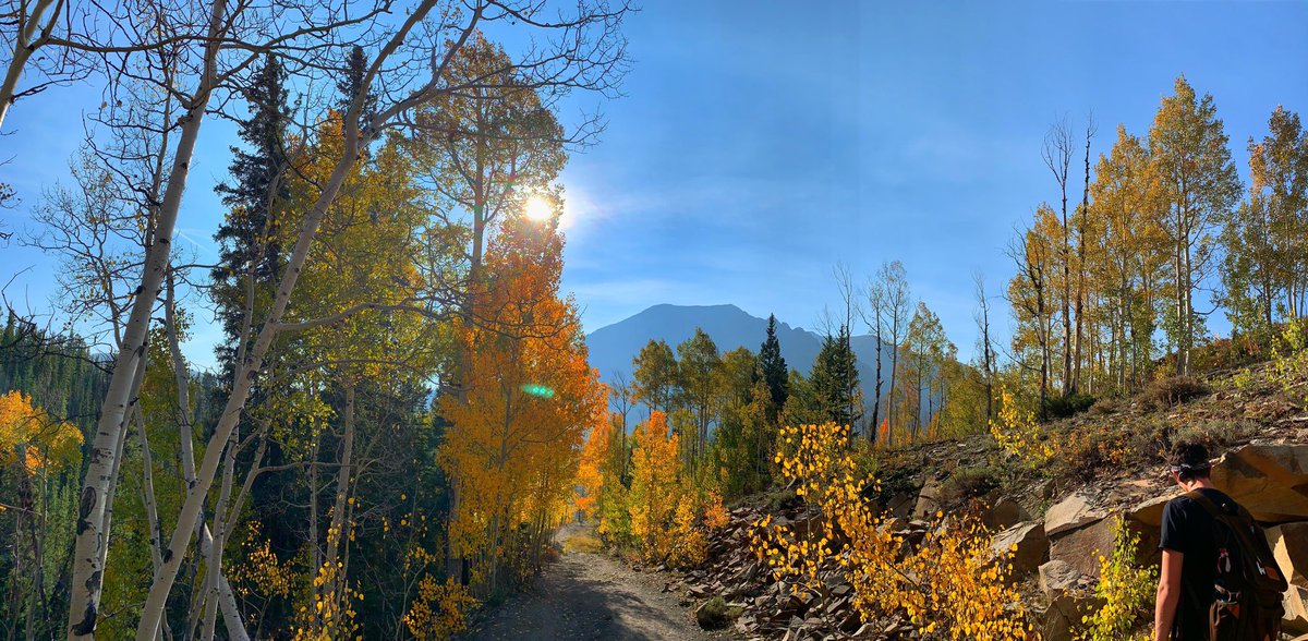 ericababyy tweet media