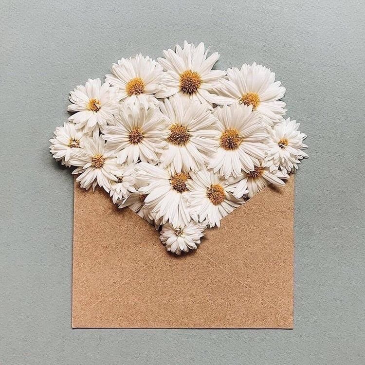 Çiçeklendiniz (@ciceklendirdik) on Twitter photo 