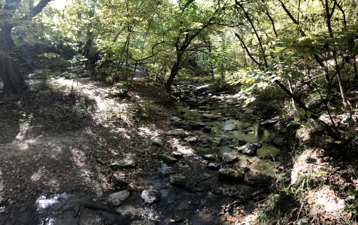 carljsamuelson's tweet image. Oh #PRSP. ♥️