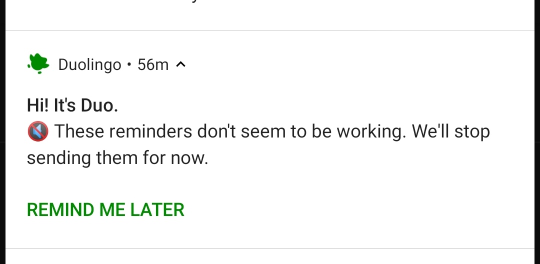 Tad bit passive aggressive there <a href="/duolingo/">Duolingo</a> 😛