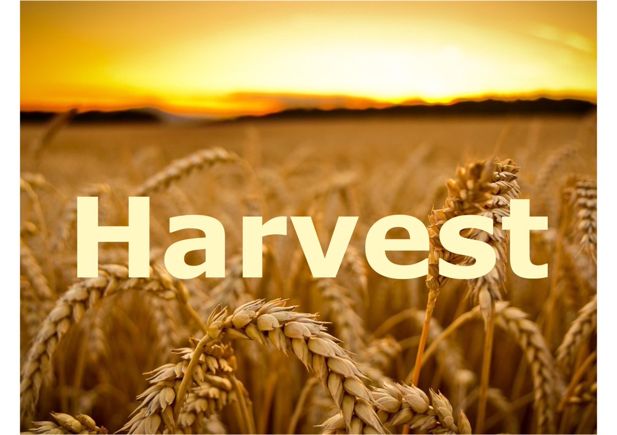 DeverFederation's tweet photo. Our Harvest videos are on our websites. So sad we couldn’t all be together but hope you enjoy them at home. https://t.co/HTRXiM2M7P