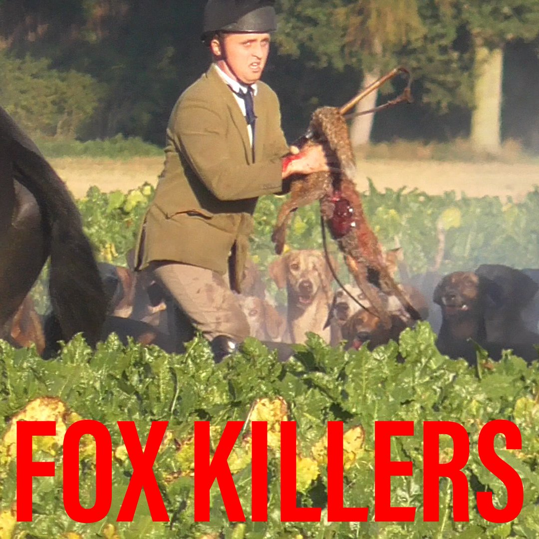 Tomorrow. 9AM on Facebook &amp; Instagram. The footage of these idiots killing fox cubs. 

Please share it so we can make them famous.