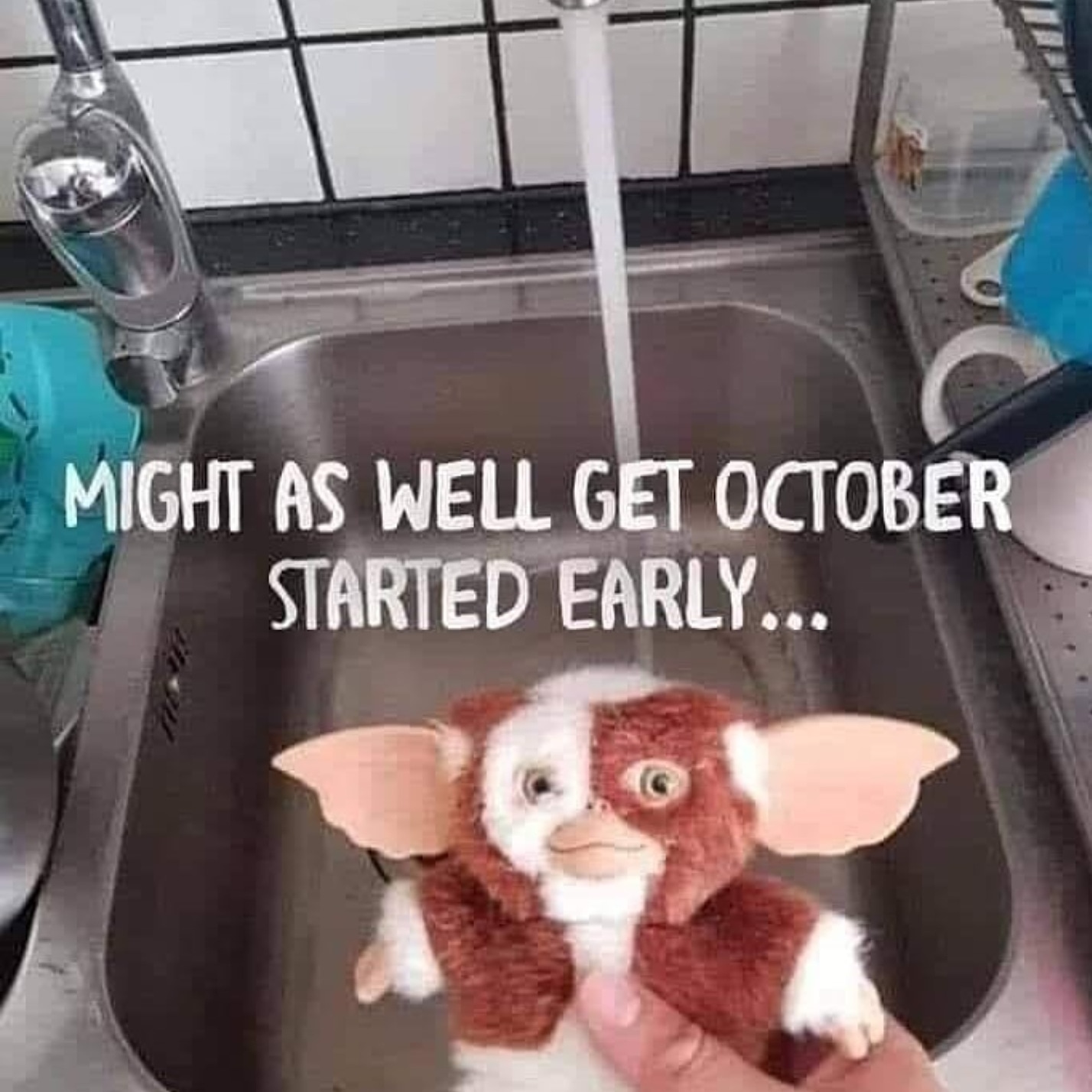 Merchant Service Innovations on X: That's what happened (Filbert72/IG)  #merchantserviceinnovations #magwai #gremlins #gremlin #gizmo #gizmogremlin  #gizmodoll #water #sink #uhoh #2020 #meme #memer #memes #dankmeme  #dankmemes #october #faucet