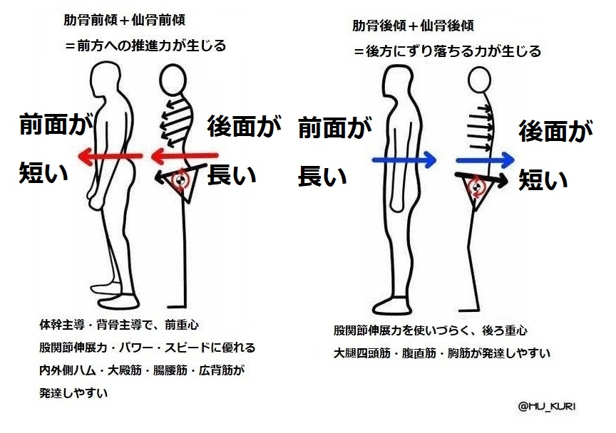 栗山彰恭 Na Twitterze 身体の後ろ側にある筋肉は 長く 弾力性がある ように 身体の前面 側面 にある筋肉は 短く 弾力性がある ように保っておくと良い そうすれば 体 幹で作る前重心 を誘導できるし 股関節伸展の力も強くなる 前面と後面が両方とも長いと