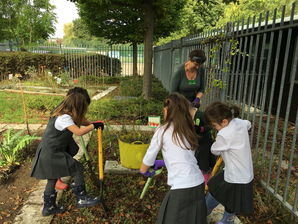 rachel72h's tweet photo. ⁦@trafinfants⁩ had a lovely planting session with cath from ⁦@sfmtweet⁩ , planting bee friendly plants, many thanks https://t.co/wPScyMyUiC