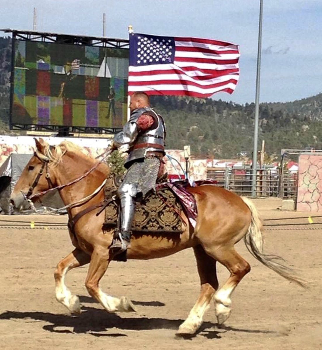God Bless The USA!  Jager and I proudly fly the US Flag! #USA