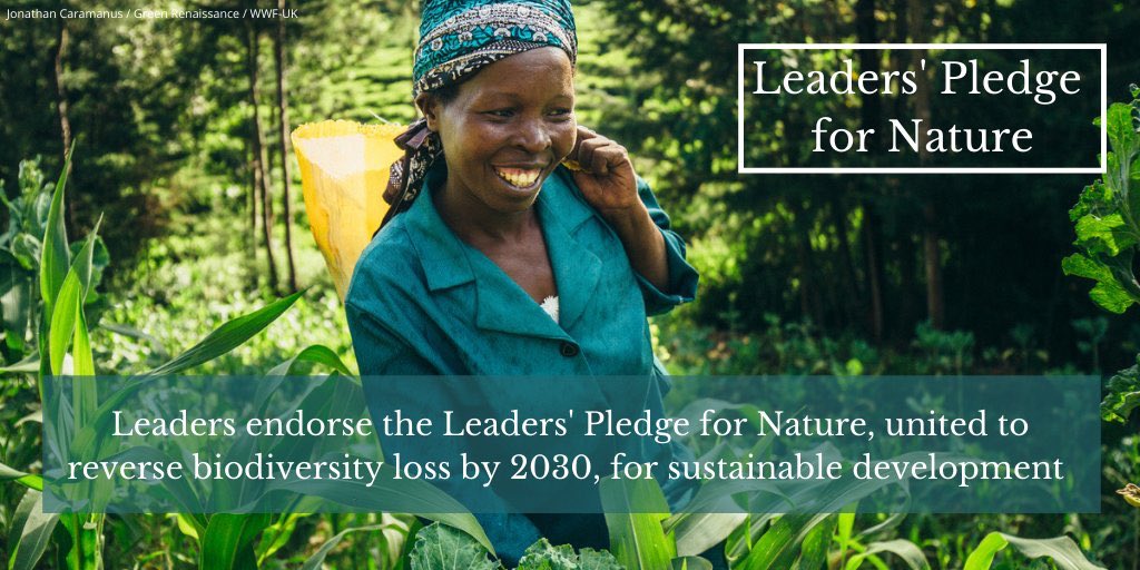 There were lots of headlines last week on #LeadersPledge4Nature but no mention of fact that the lead negotiators who made it happen were almost ALL women! A big shout out to Gina, Helge, Leticia and Claire from 🇬🇧 🇪🇺 🇨🇷 🐼 for making happen & proving #notalldiplomatsaremeninsuits