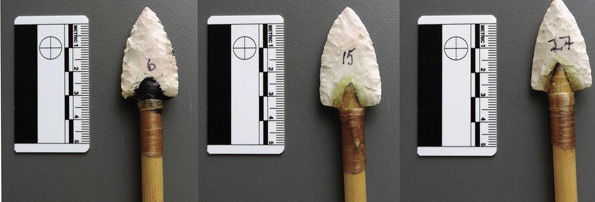 African Paleosciences Laboratory@NYU (@africanpaleosc1) on Twitter photo Here, we explore whether a modern thermoplastic adhesive can serve as a replacement for two organic adhesives used by past peoples – pine rosin and hide glue – in modern experimental tests of prehistoric weaponry. <a href="/CSHO_NYU/">CSHO @ NYU</a> <a href="/AnthroKentState/">Anthropology KSU</a> sciencedirect.com/science/articl… Here, we explore whether a modern thermoplastic adhesive can serve as a replacement for two organic adhesives used by past peoples – pine rosin and hide glue – in modern experimental tests of prehistoric weaponry. <a href="/CSHO_NYU/">CSHO @ NYU</a> <a href="/AnthroKentState/">Anthropology KSU</a> sciencedirect.com/science/articl…