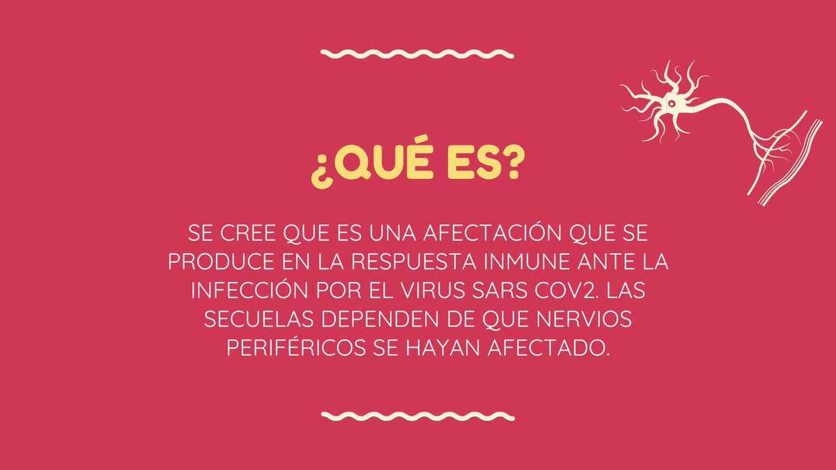 d_pndm's tweet photo. #secuelas #COVID19  ¿qué es la neuropatía periférica? 👀

Colaboración de Luz Elorza, Casos y testimonios Covid-19
Parte 1 https://t.co/ToqphHGOse