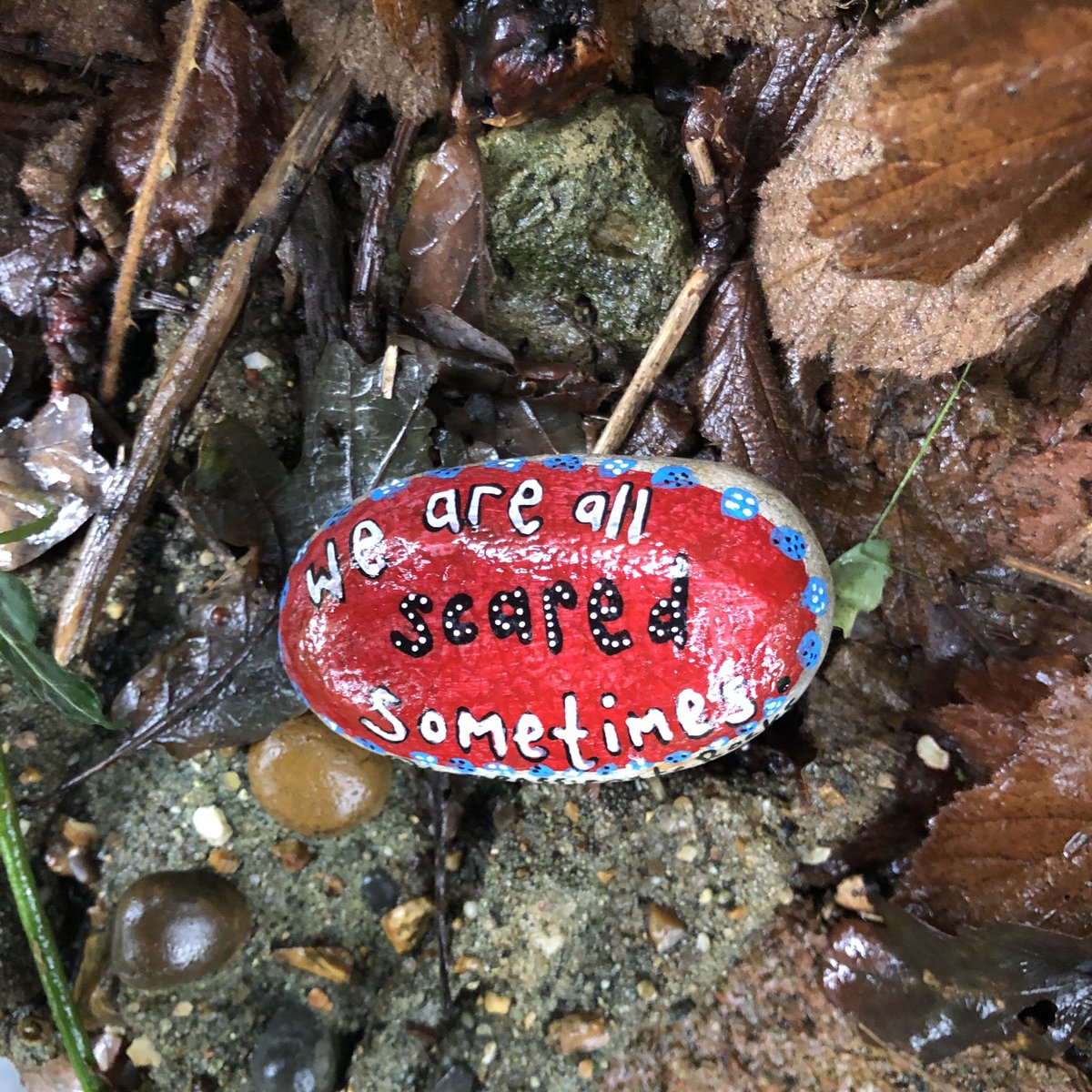 CompassionateRo's tweet image. We are all scared sometimes.

A note for me and us all. It’s ok to feel what we feel 💕

#pebbleswithpurpose #compassionaterocks #compassionrocks #paintedrocks #365daysofcompassion #fear #rockpainting #rockpaintings #kindnessrocks #kindnessmatters #Emotions #anxietyrecovery