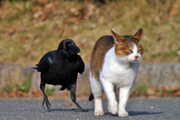 thelaceylondon's tweet photo. In six words or fewer, write a short story about this photo...

#amwriting #sixwordstory https://t.co/ySlcAsk9KS