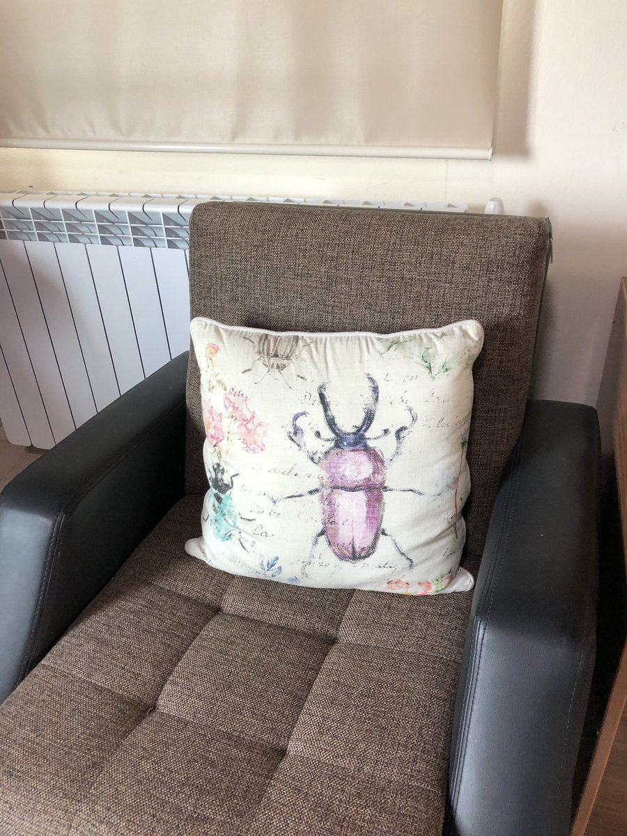 schoeller39's tweet photo. Cushions in the home of an entomologist https://t.co/rSiXxyzqZ7
