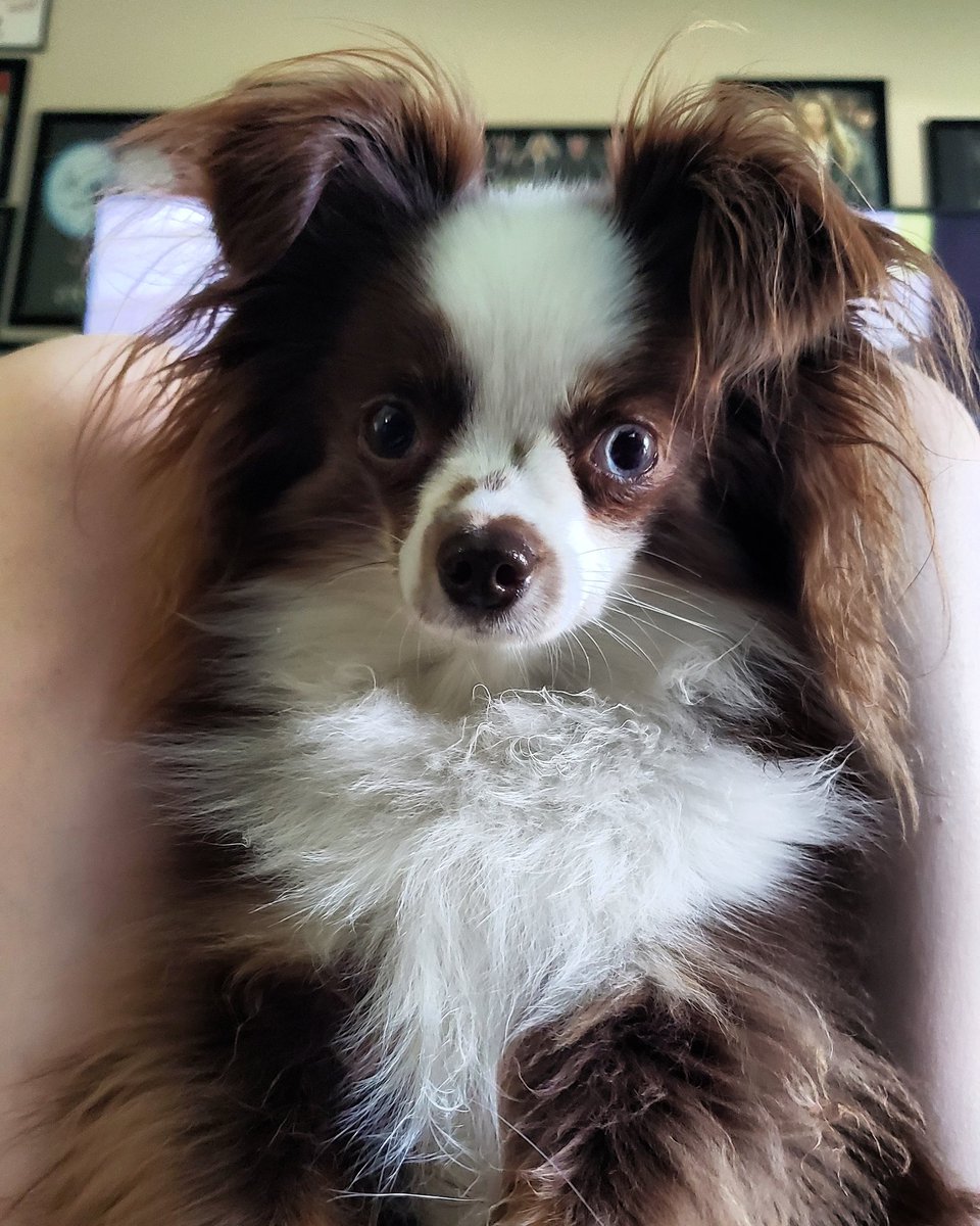 Jennifer Moon tweet media