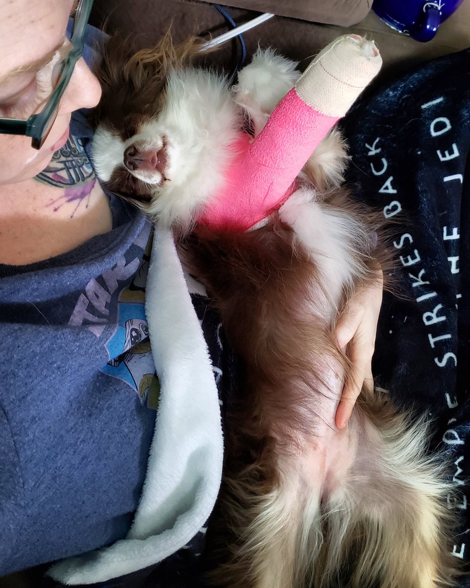 Jennifer Moon tweet media