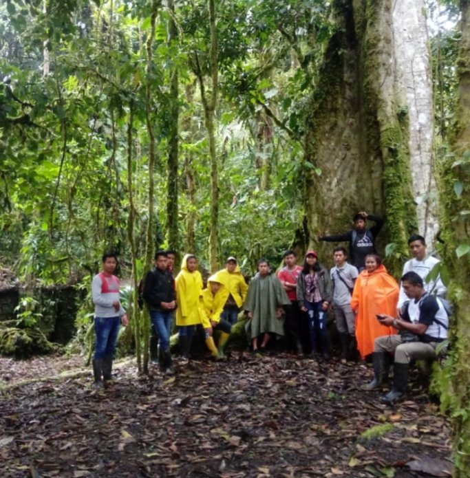 Henry33567899's tweet image. #Salvemosalanaturalezatodossomosguardaparques#