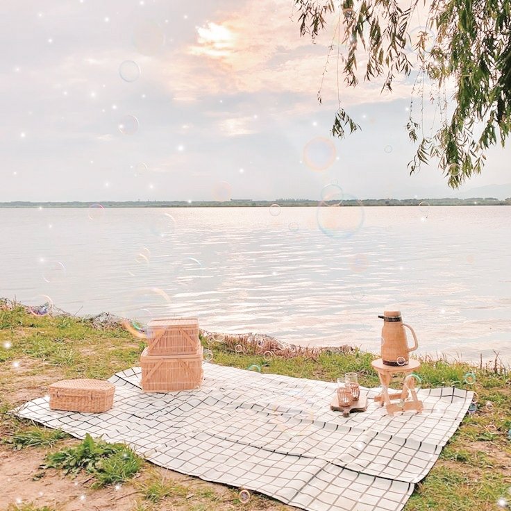 cott4ro's tweet image. ⠀⠀⠀           ꢾ₍ᐢ.̭.ᐢ₎ 𝗰ׁ𝗼𝘁𝘁ִ𝗮𝗴𝗲_b𔓘y 𔖨 
                     それ 𓈈 𝚏𝚊ׁ𝚛𝚖𝚒ִ𝚗𝚐 🌾
                            #plotsunday