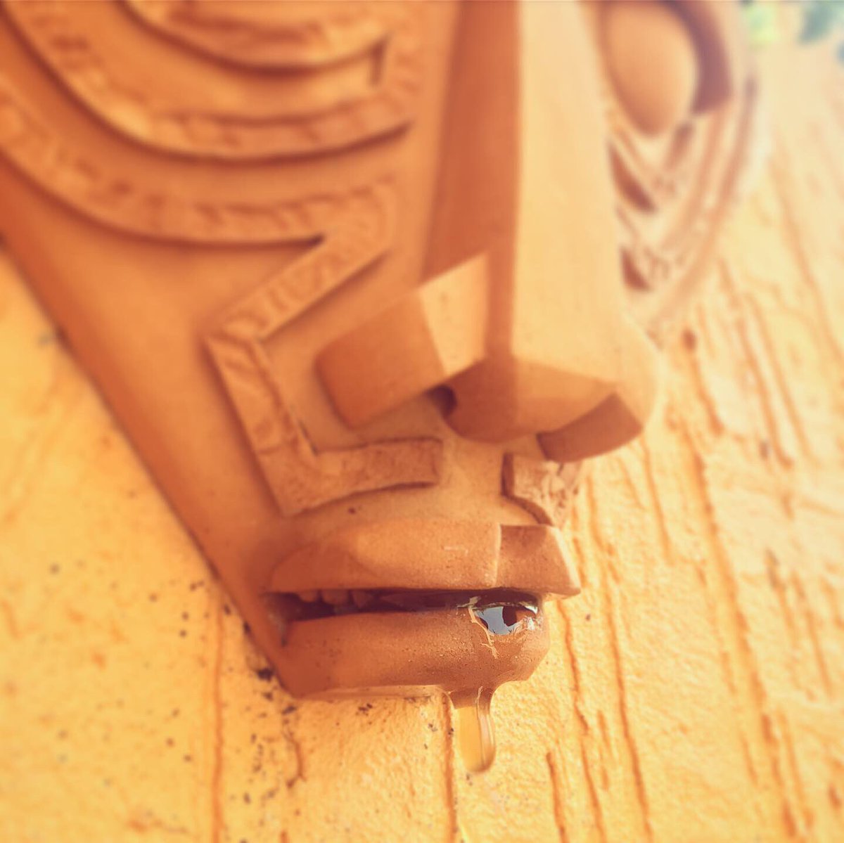 ColombianRoast's tweet photo. #vaso #vasoparede #matera #planter #wallplanter #materapared #mascaraafricana #africanmask #kifwebe #igbo #ijo #geometria #geometry #ceramica #ceramics #ceramicacontemporanea #contemporaryceramics #esculturafuncional #functionalsculpture #instapottery #claystagram https://t.co/iXD904tU7v