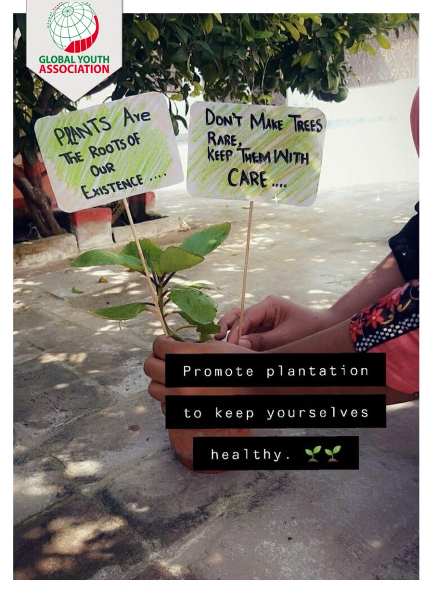 GYAssociation's tweet photo. Trees are for our survival. Plant a tree today so you can get the fruit when you grow..
Miss. Rabia Aftab our member of Twin Cities Team Global Youth Association planted tree in her home to make Healthy Society
#Promote #Planatation #Heathly #Environment
.#GreenWeekActionPK https://t.co/VceJ3ghlrH