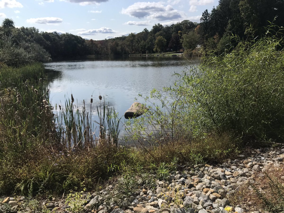 RunInAMillion's tweet image. Just finished my 4mi virtual @HeadyTrotter run. Can’t wait to get my swag!
Next year hope to make it to @alchemistbeer